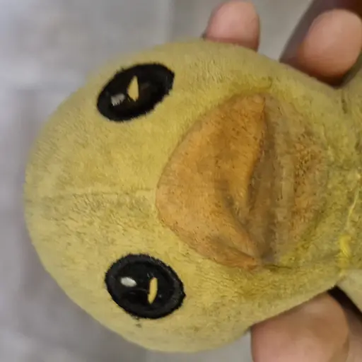 Stoneage_uga의 꽥꽥이