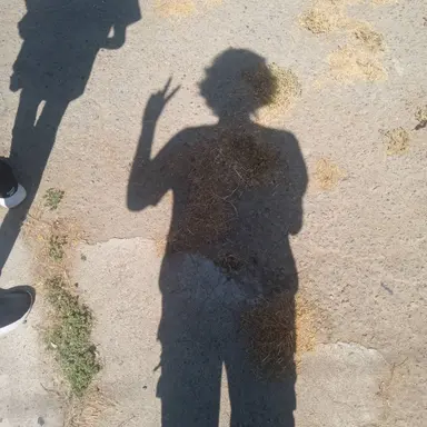 Profile image of Shiro