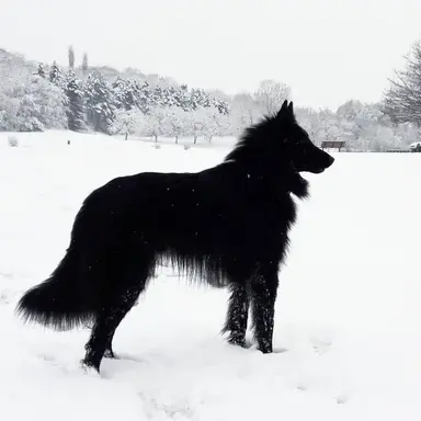 Profile image of 잭