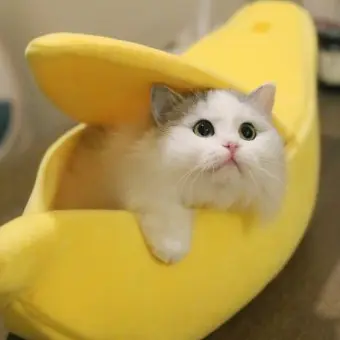 Profile image of 남녀무리