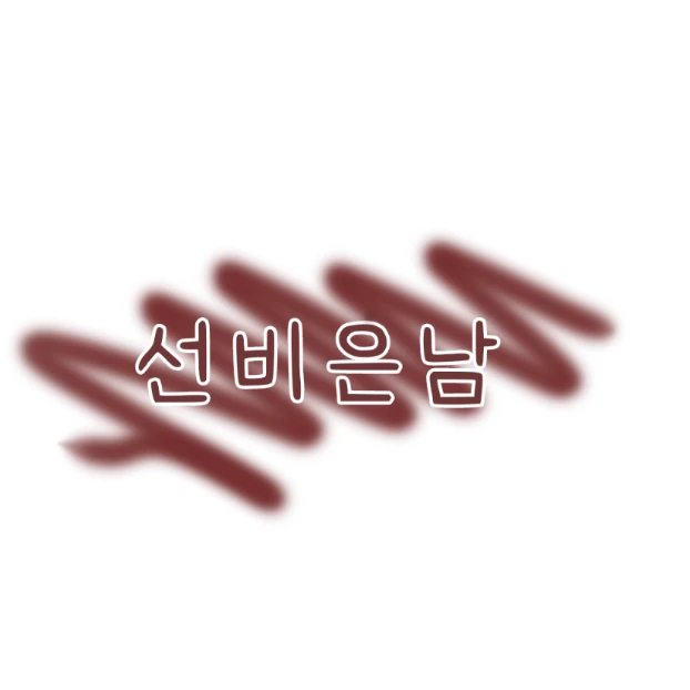 선비은남