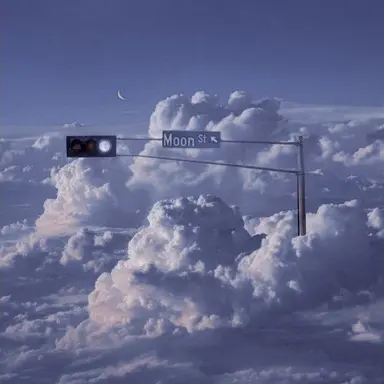 Profile image of 벨키