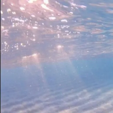 Profile image of 멜로우