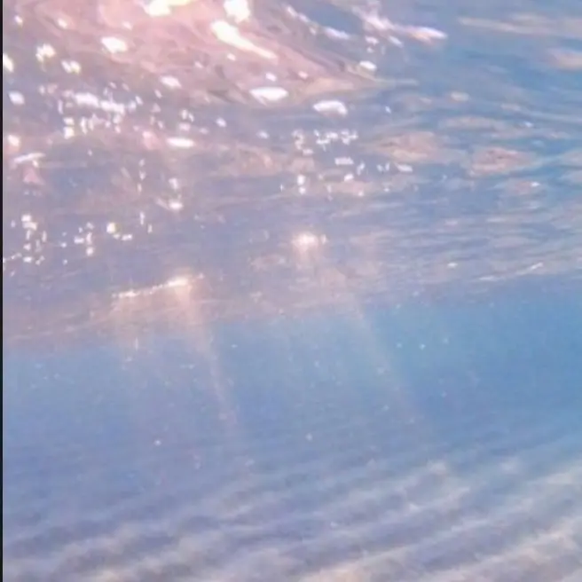 JustHat1867의 팀나빠 밴드부