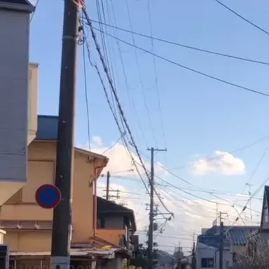 Profile image of 준브레드