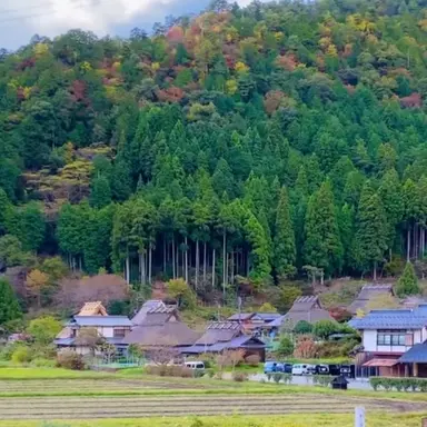 Profile image of 우유참치