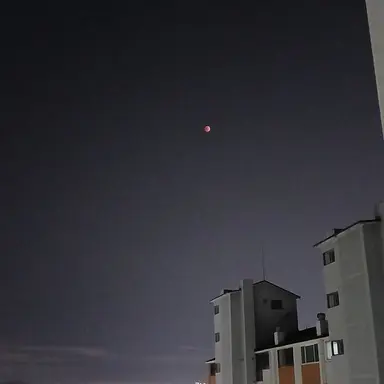 Profile image of 레이