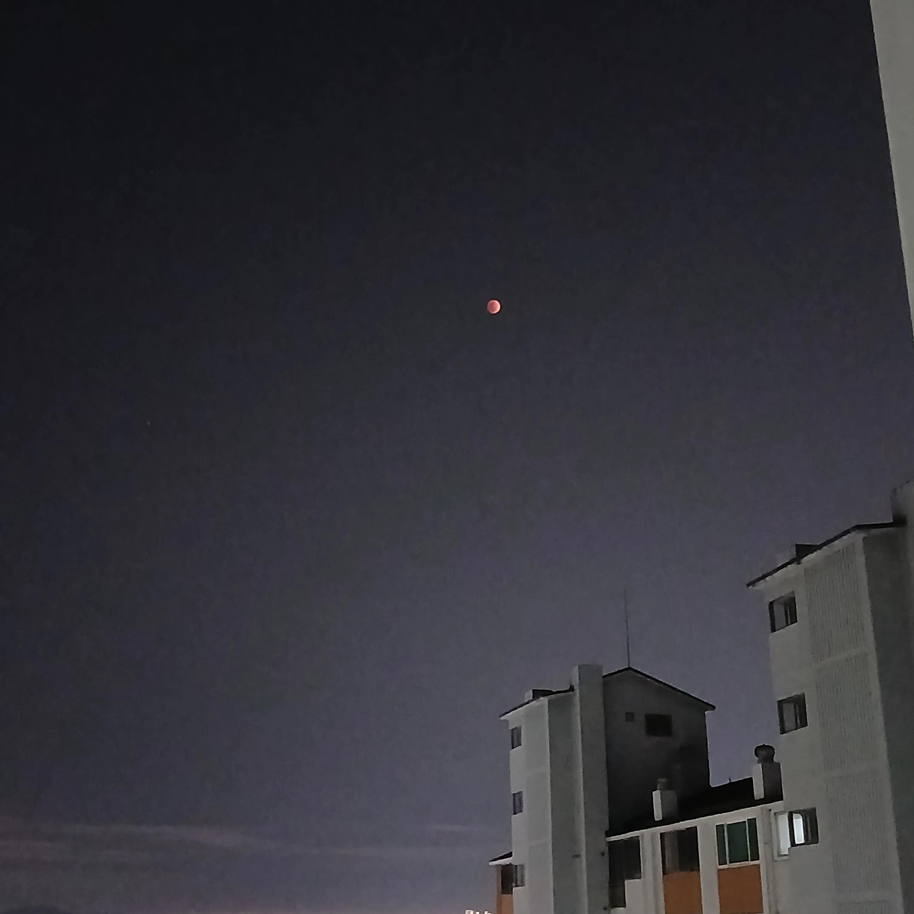 Djaiak의 나는 아이브의 친동생