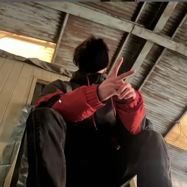 Profile image of 금성제