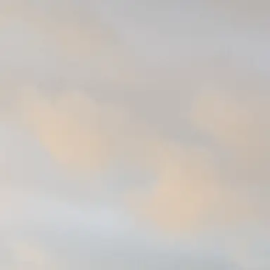 Profile image of 新町泉実