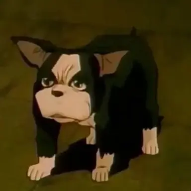 Profile image of イギー