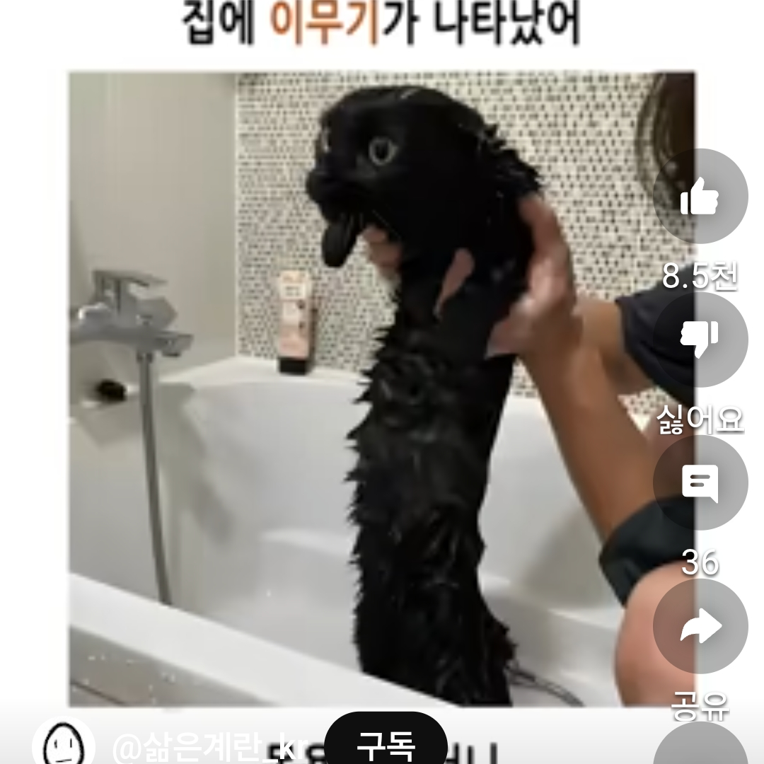 유튜버들의 MT 대표 이미지