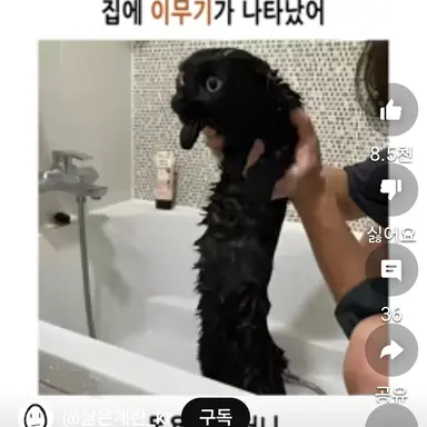 Profile image of 유튜버들의 MT