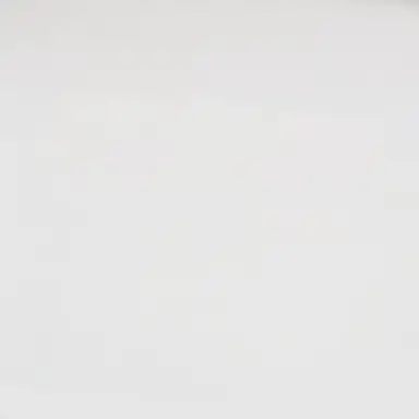 Profile image of 정이안