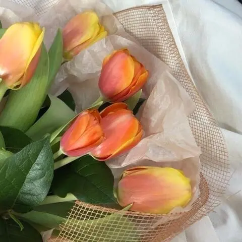 Y.Y의 박형석