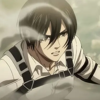 Profile image of 미카사