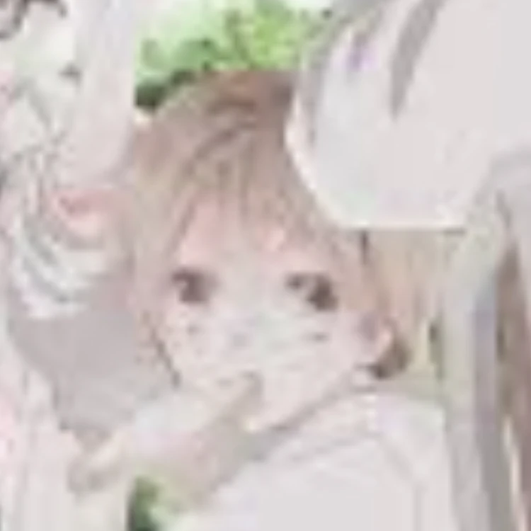シン