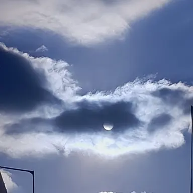 Profile image of 주 한