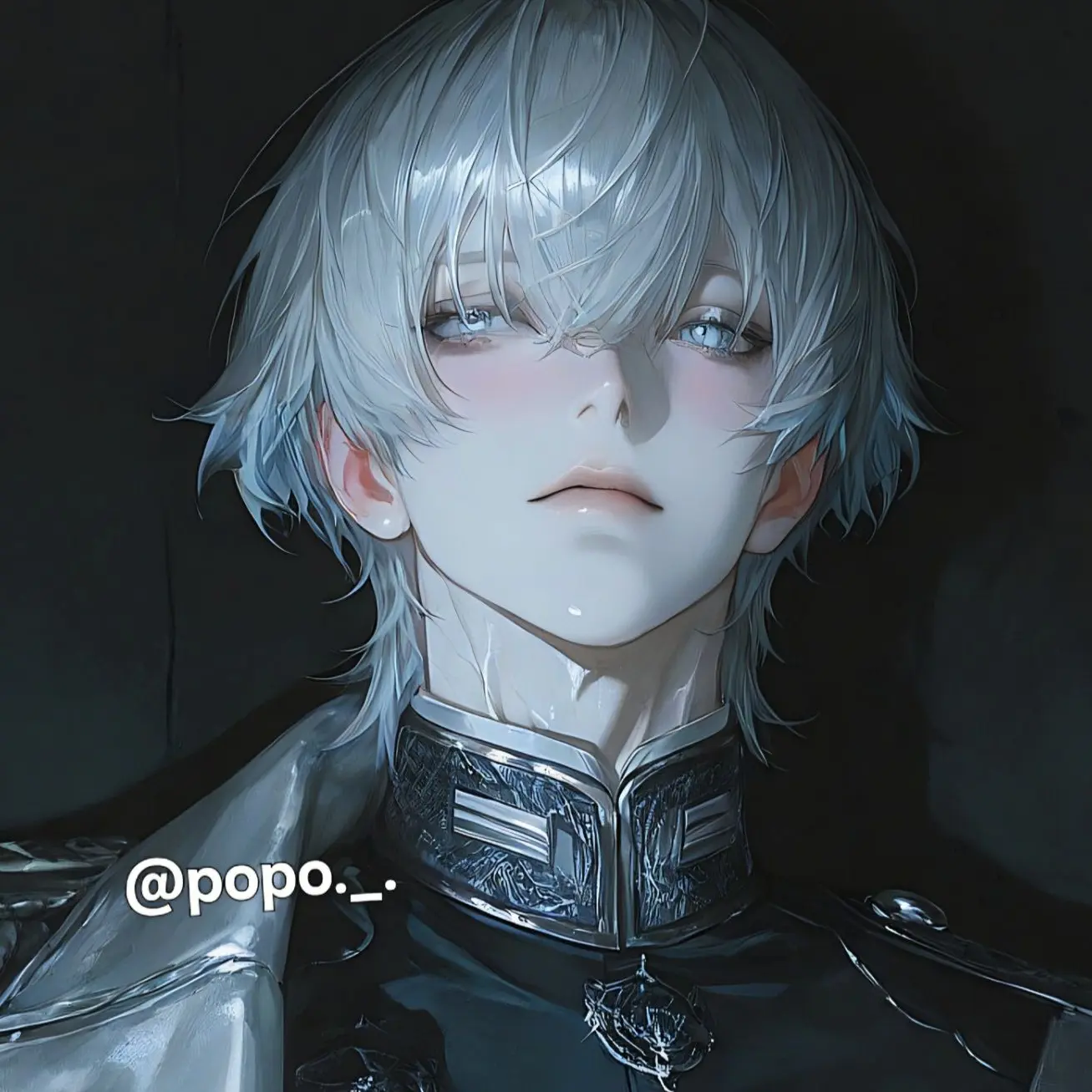 popo._.의 노아르