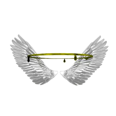 Profile image of Angel