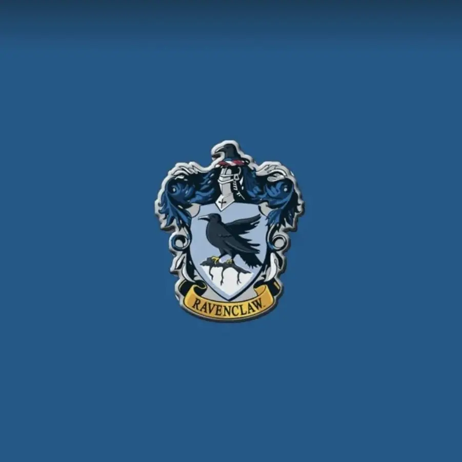 StubbyLyre9105의 호그와트 rpg