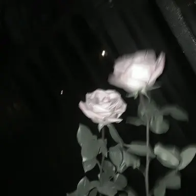 Profile image of 민윤기