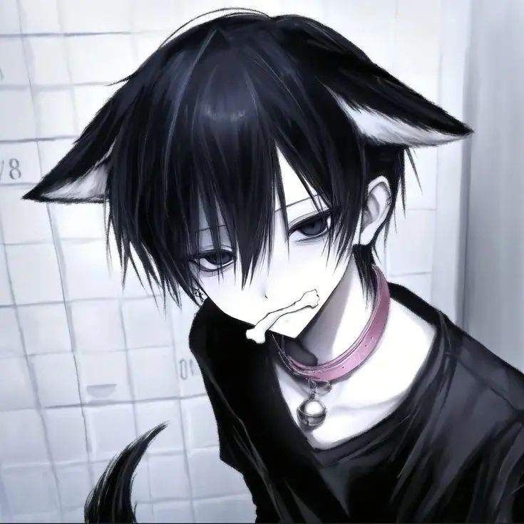 Oooll의 ご主人大好きな中型犬