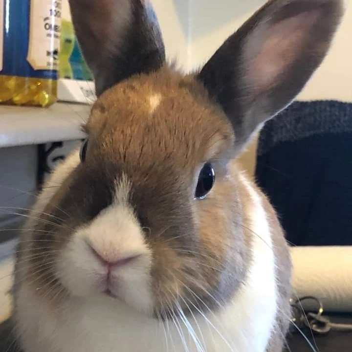 이민호
