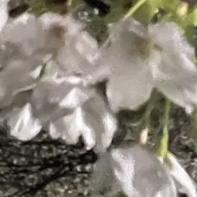 Profile image of 黄帝