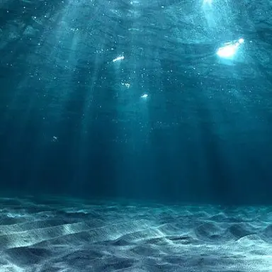 Profile image of 6.25 설명