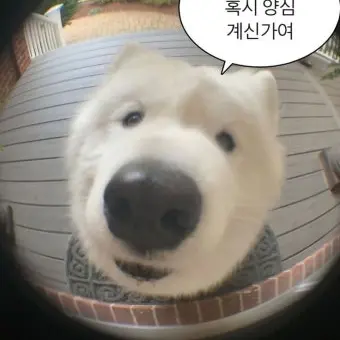 Cutagoldside의 장난고백 ㄷㄱㅈ (여우는 항상 있져)