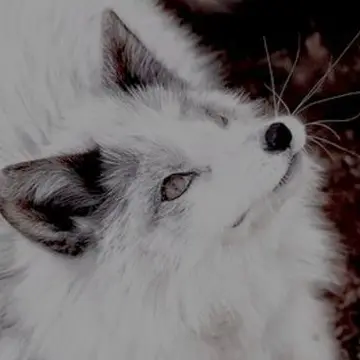 Profile image of Dong-wook