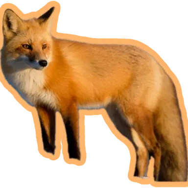 Profile image of 여우