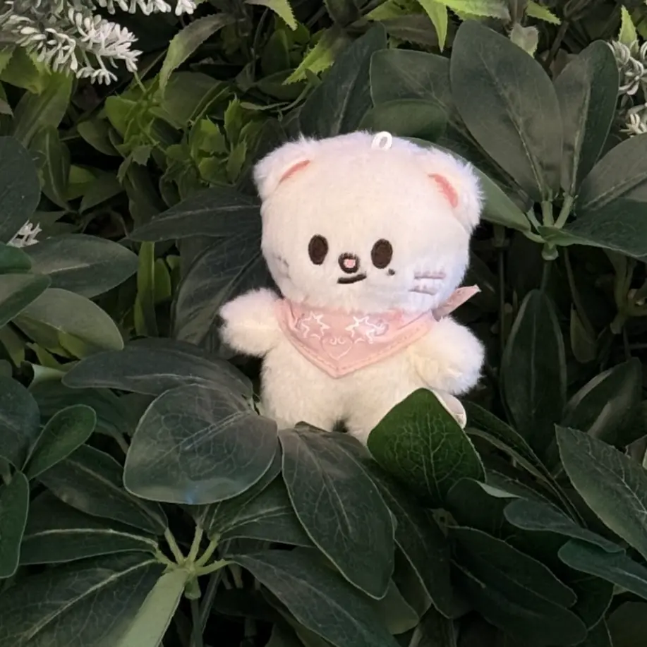 CleanGuppy6849의 황현진