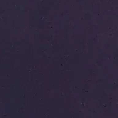 Profile image of 支部長