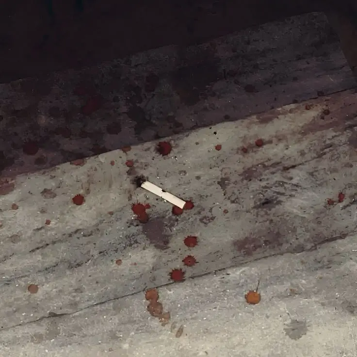 whitegap의 Дмитрий