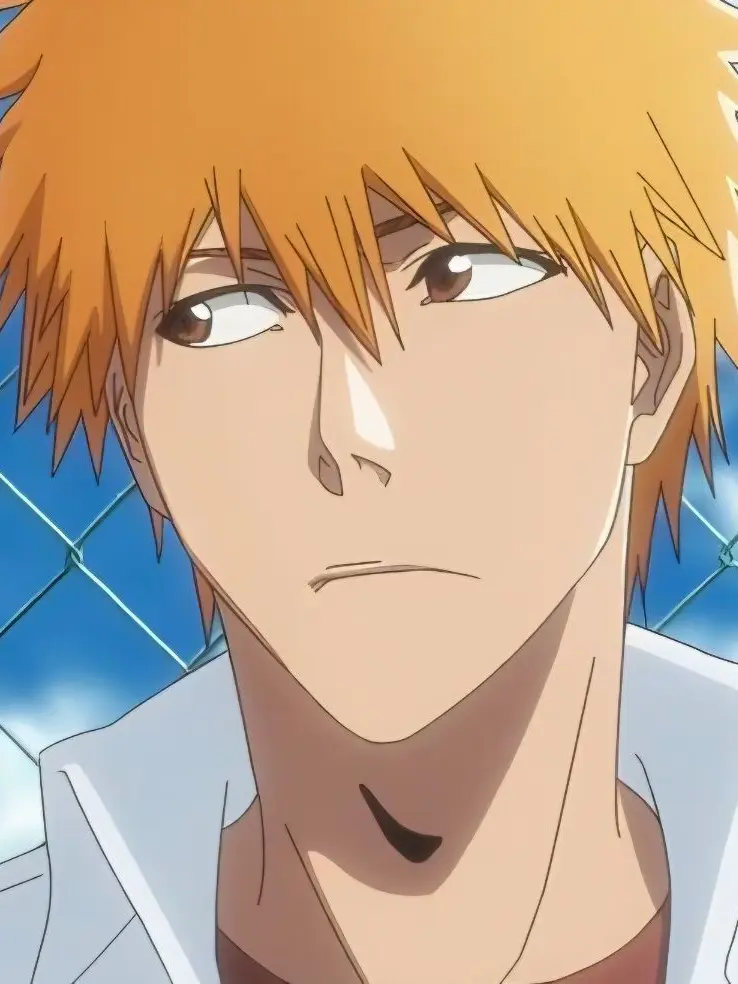 CherryDingo2878의 쿠로사키 이치고