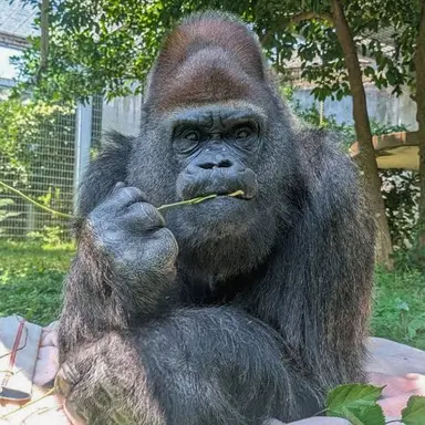 Profile image of 아아아
