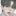 양 태 현