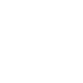 백지헌