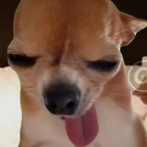 _._의 한성후