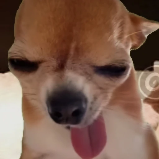 한성후
