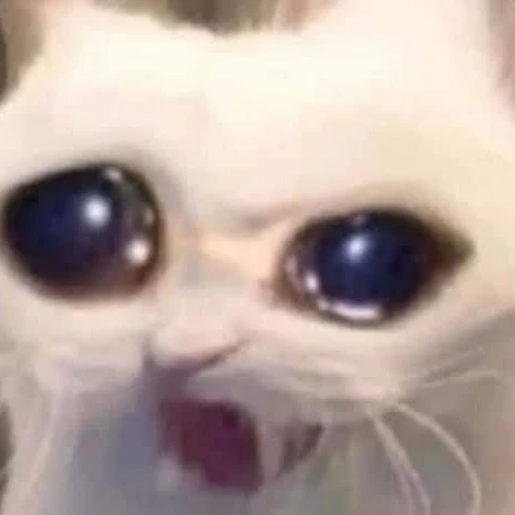 넘후 슬푸다..흙흙