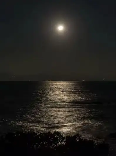 OvalFinch4364의 " 転校生の裏と表 "＿＿ ．