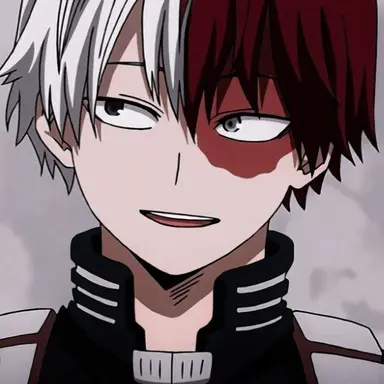Profile image of Shoto Todoroki