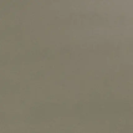 TautPen2404의 어라?