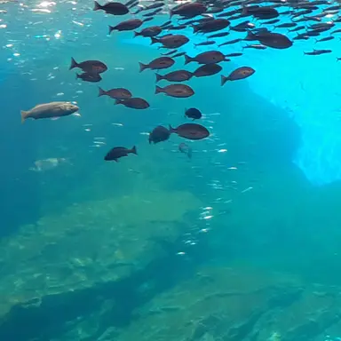 Profile image of 藤澤涼架