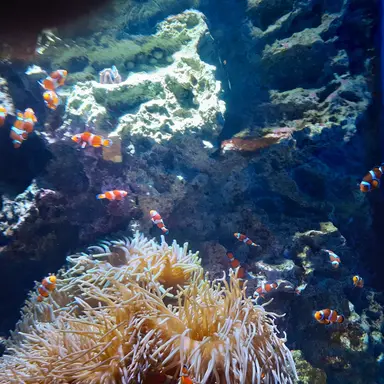 Profile image of 若井滉斗