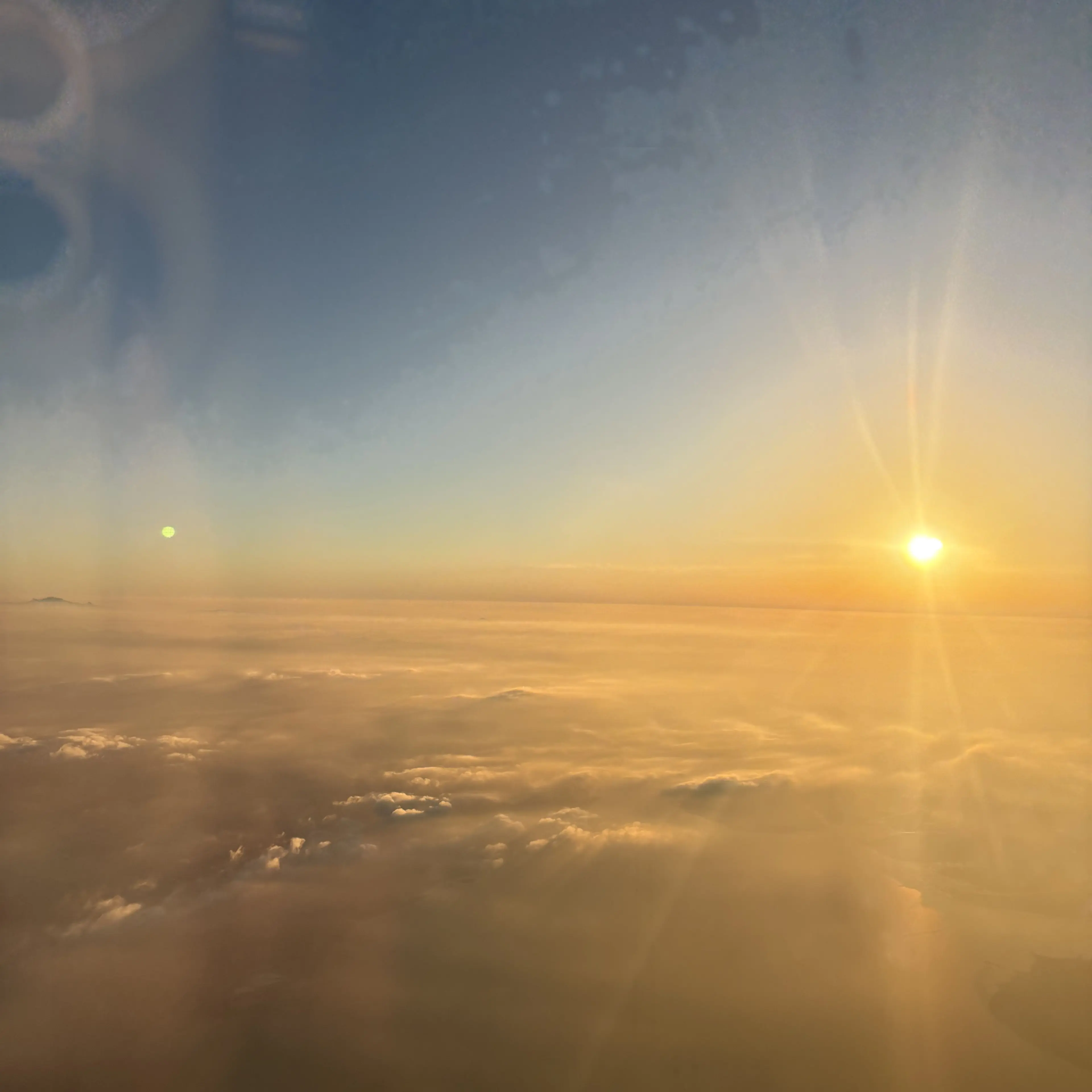 solasidore의 한뿅뿅