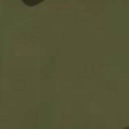 雅